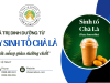 Giá trị dinh dưỡng từ ly Sinh tố Chà Là: Thức uống giàu dưỡng chất