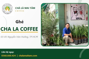 Cà phê chà là - từ nông trại đến ly nước tại Cha La Coffee