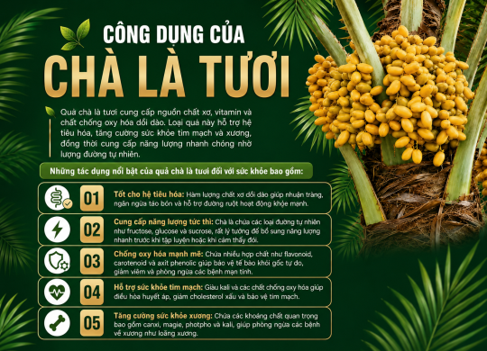 Về Chà Là Mai Tâm