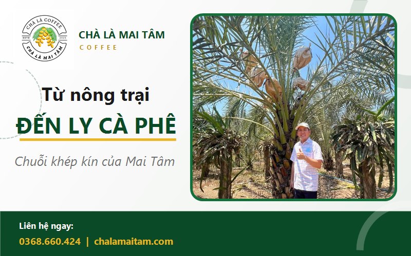 cà phê chà là
