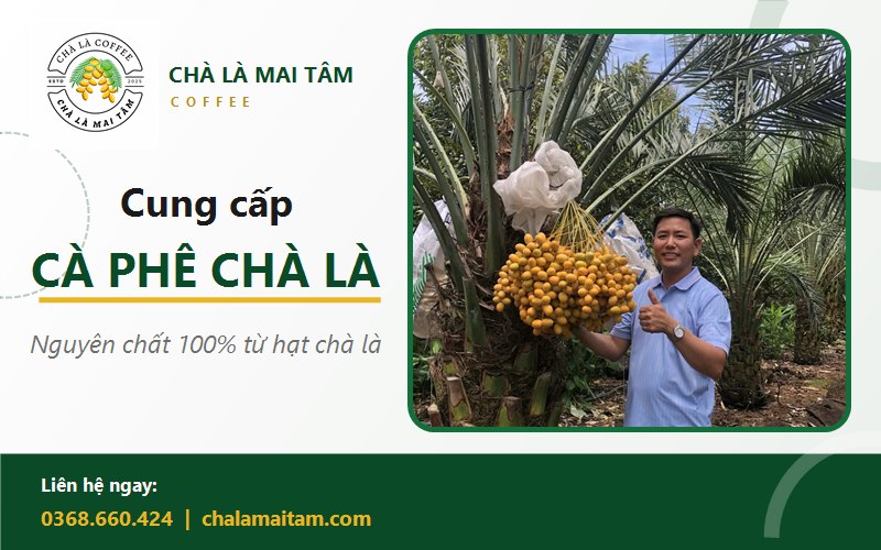 cà phê chà là nguyên chất