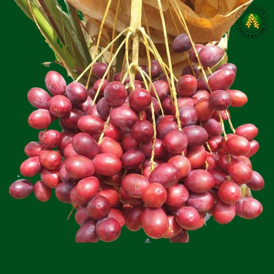 Chà Là Đỏ